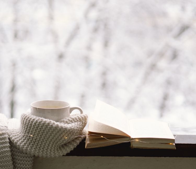 Nouveautés et coups de coeur